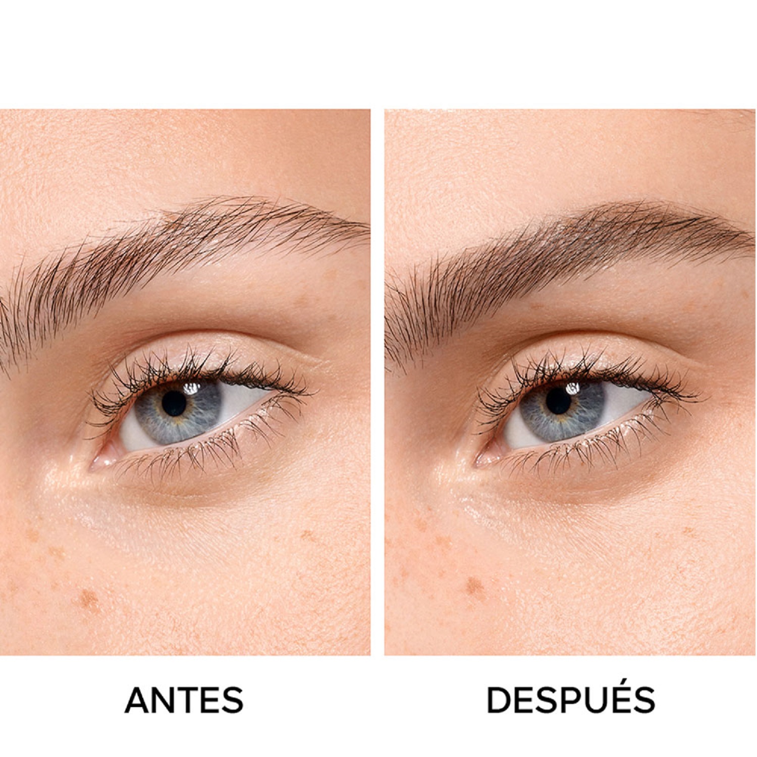 BEE BEAUTY SECRET BROW G (LÁPIZ PARA CEJAS ALTA PRECISIÓN Y LARGA DURACIÓN)